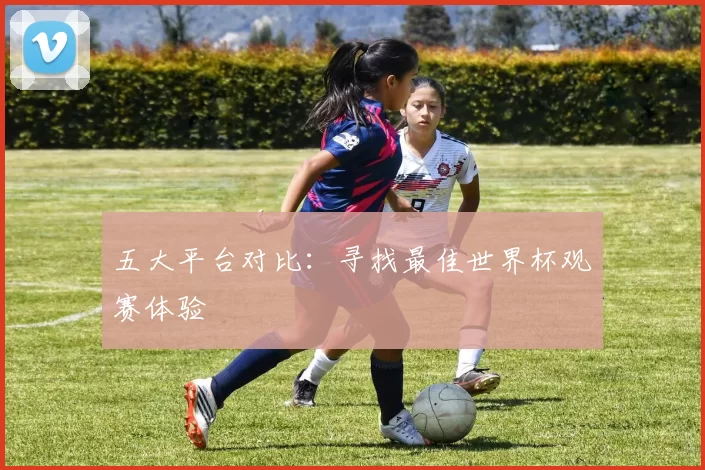 五大平台对比：寻找最佳世界杯观赛体验