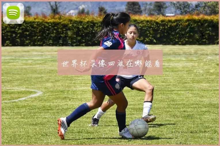 世界杯录像回放在哪能看