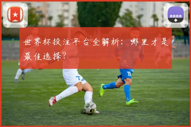 世界杯投注平台全解析：哪里才是最佳选择？
