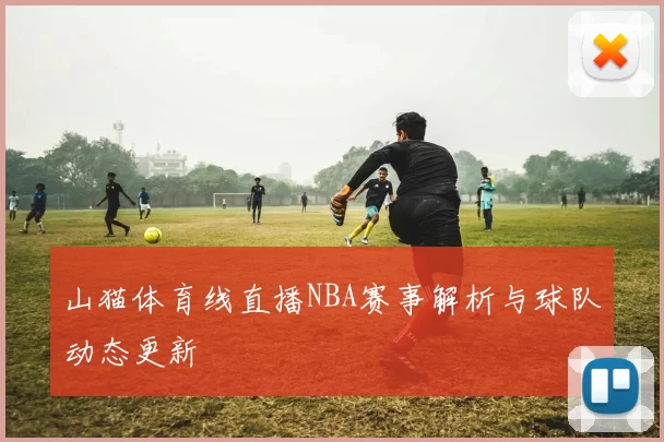 山猫体育线直播NBA赛事解析与球队动态更新