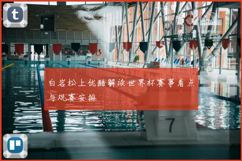 白岩松上优酷解读世界杯赛事看点与观赛安排