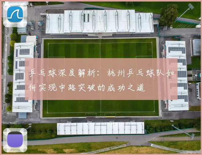 乒乓球深度解析：杭州乒乓球队如何实现中路突破的成功之道