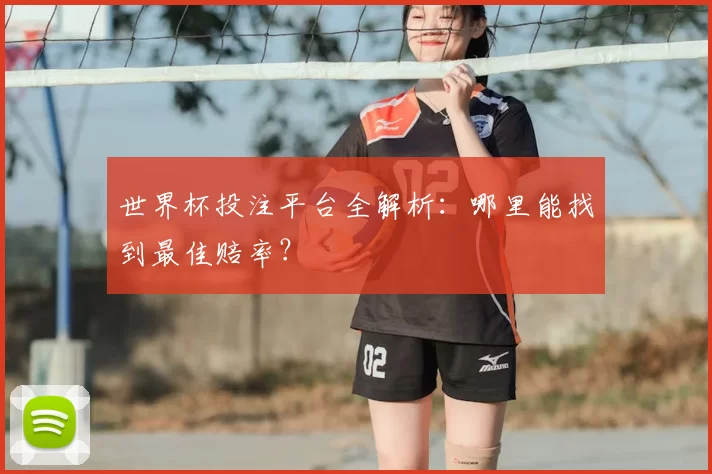 世界杯投注平台全解析：哪里能找到最佳赔率？