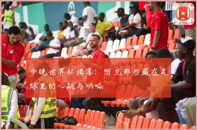 今晚世界杯揭幕：听见那些藏在足球里的心跳与呐喊
