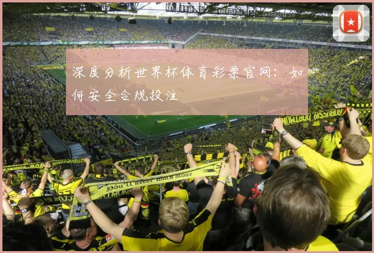 深度分析世界杯体育彩票官网:如何安全合规投注