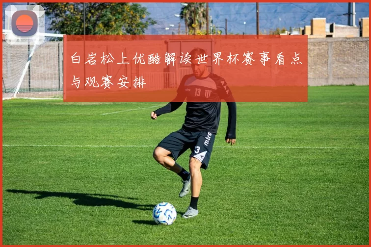 白岩松上优酷解读世界杯赛事看点与观赛安排