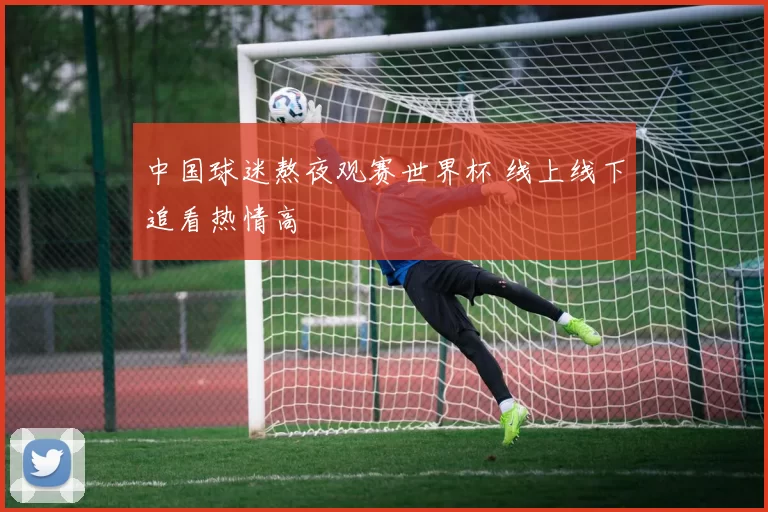中国球迷熬夜观赛世界杯 线上线下追看热情高