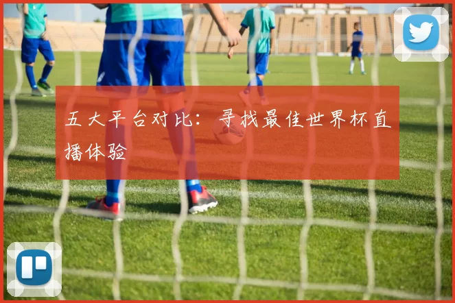 五大平台对比：寻找最佳世界杯直播体验