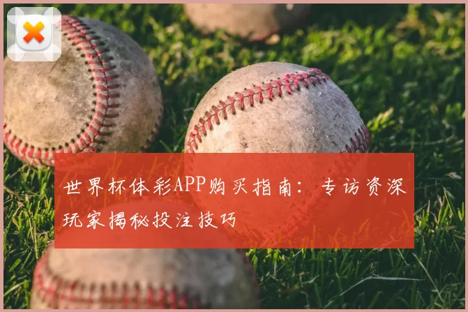 世界杯体彩APP购买指南：专访资深玩家揭秘投注技巧
