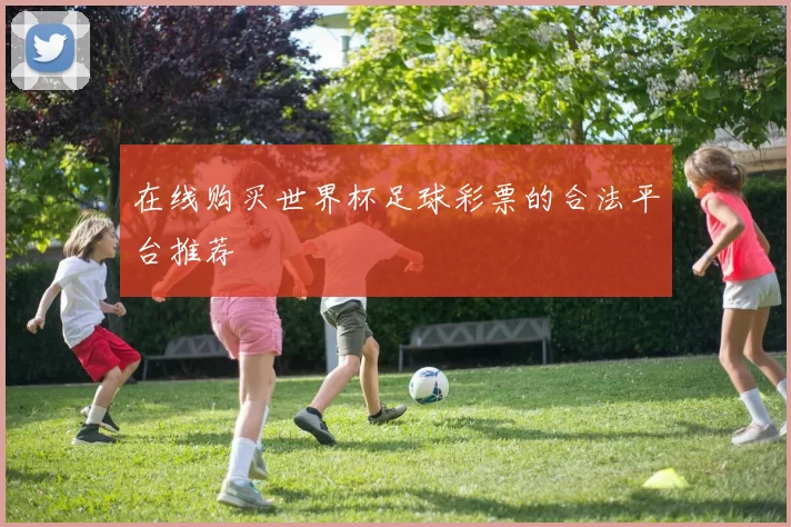在线购买世界杯足球彩票的合法平台推荐