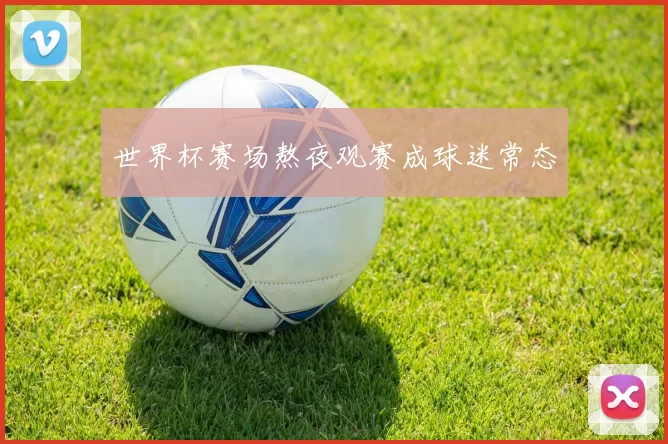 世界杯赛场熬夜观赛成球迷常态