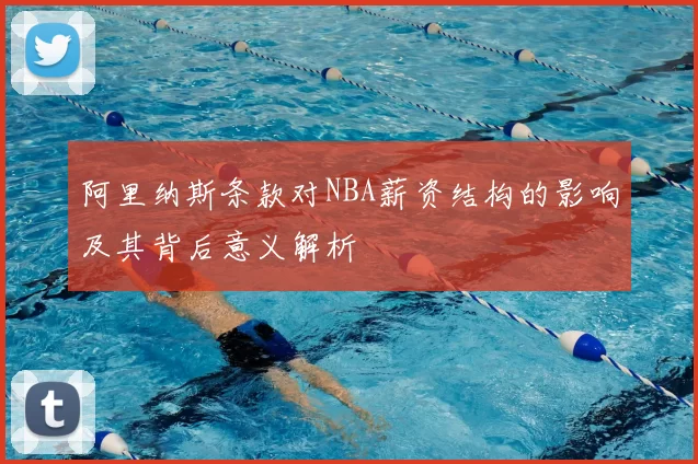 阿里纳斯条款对NBA薪资结构的影响及其背后意义解析