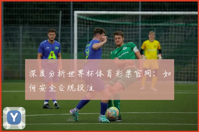 深度分析世界杯体育彩票官网：如何安全合规投注