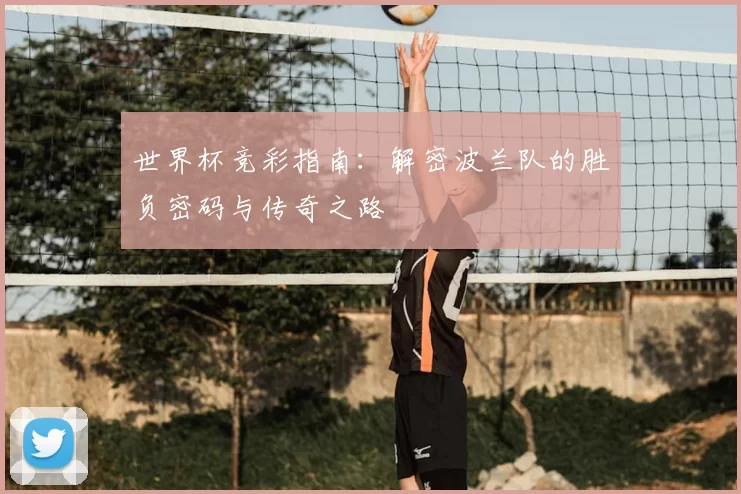 世界杯竞彩指南：解密波兰队的胜负密码与传奇之路