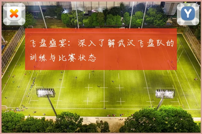 飞盘盛宴：深入了解武汉飞盘队的训练与比赛状态