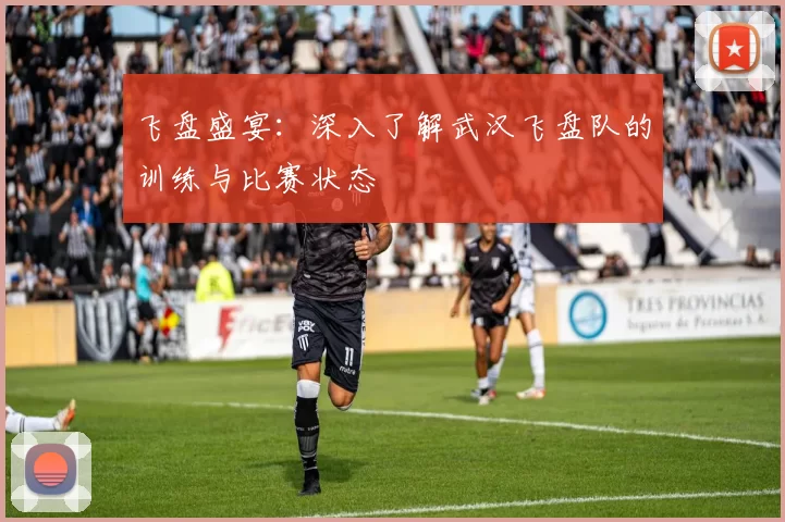 飞盘盛宴:深入了解武汉飞盘队的训练与比赛状态