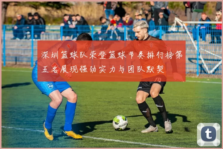 深圳篮球队荣登篮球节奏排行榜第五名展现强劲实力与团队默契